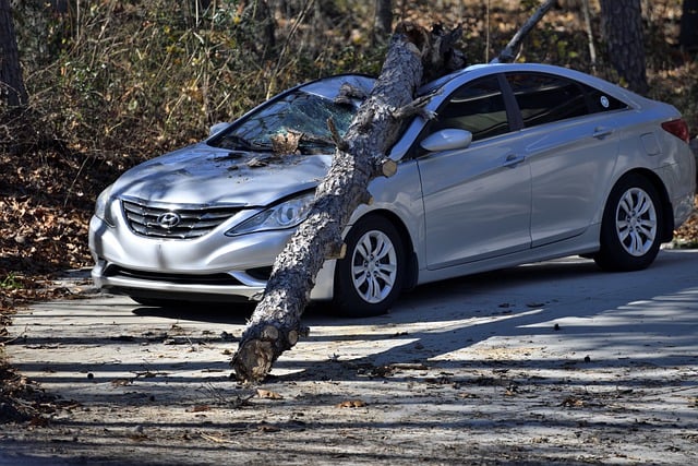 auto-insurance