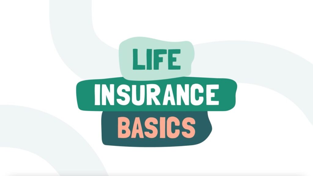 Life Insurance 101: Understanding the Basics of Term and Whole Life Insurance