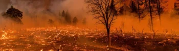 Wildfire Season Worsens: Record Heat Fuels U.S. Fires
